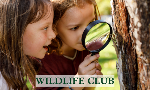 Monthly Wildlife Club